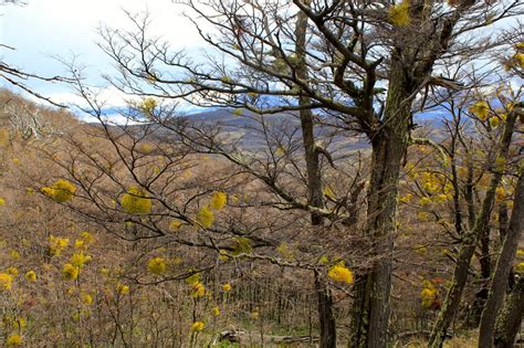 What's at the End of the World - Exploring Patagonia - World of Wanderlust