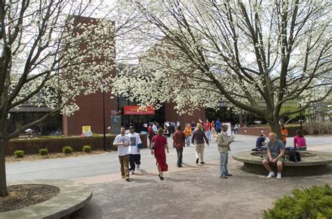 Southern Illinois University-Edwardsville (SIUE) Introduction and ...