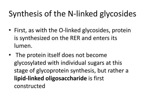 PPT - SYNTHESIS OF GLYCOPROTEINS PowerPoint Presentation, free download ...