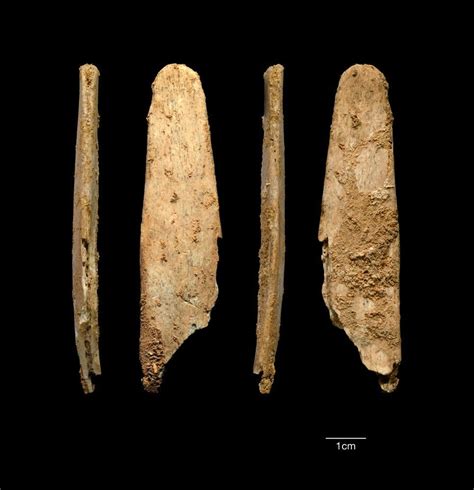 Did Neanderthals Teach Modern Humans How to Make Tools? | Neanderthal, Archaeology, Leather ...