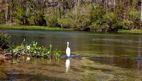 Wakulla Springs State Park