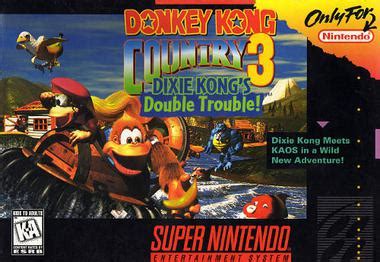 Donkey Kong Country 3 - Old Cartridges