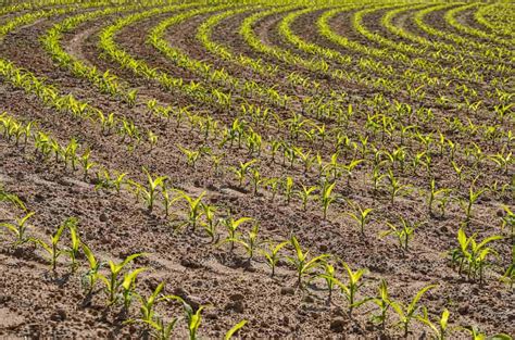 Soil Erosion and its Management site