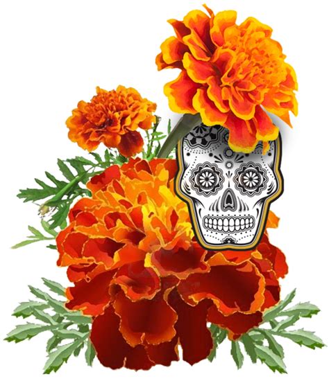 Marigold flowers dia de los muertos - mumutable