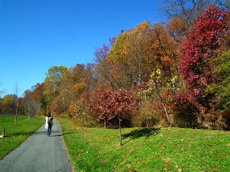 Maryland's 2018 Fall Foliage Is Expected To Be Bold And Bright