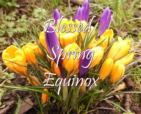 Have a happy and blessed Spring Equinox ^_^ picture made by myself ...