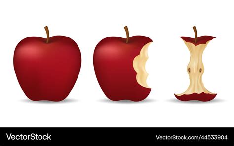 Realistic bitten apple Royalty Free Vector Image