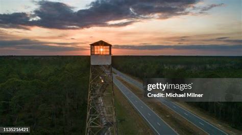 326 Fire Lookout Tower Stock Photos, High-Res Pictures, and Images ...