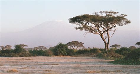 Kili from our campsite | This was the sunrise that greeted u… | Flickr