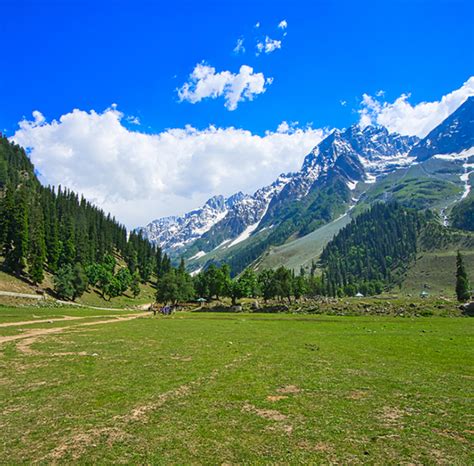 KASHMIR SUMMER TOUR PACKAGE 6 NIGHTS & 7 DAYS | KashmirHills