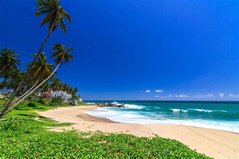 Sri Lanka 8-Day Beach & Safari Trip: Visit Tangalle, Mirissa, Yala ...