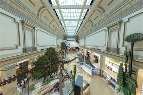 Dinosaur hall at Smithsonian National Museum of Natural History reopens - Curbed DC