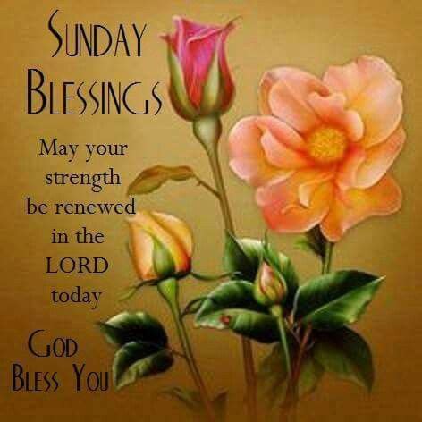 Sunday Blessings, God Bless You Pictures, Photos, and Images for ...