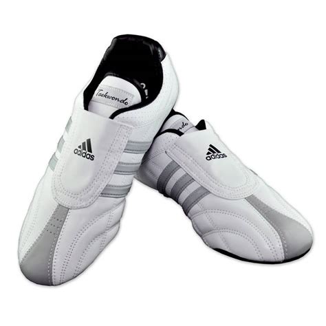 What Are The Best TaeKwonDo Training Shoes? - Tae Kwon Do Nation