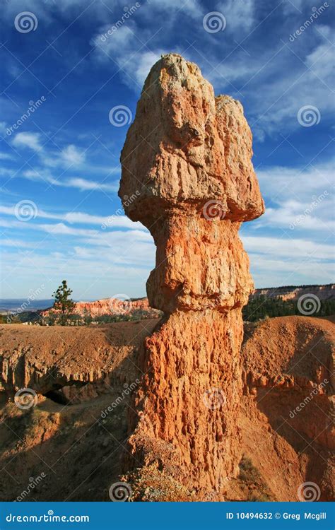 Bryce Canyon Hoodoo stock photo. Image of tree, rocks - 10494632