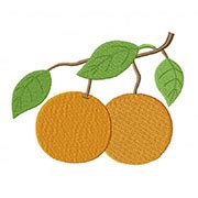 Fresh Orange Fruit Embroidery Design – Daily Embroidery