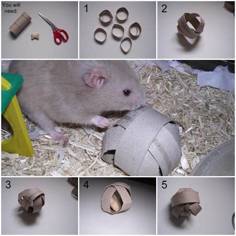 DIY Hamster Swing from Popsicle Sticks | LovePetsDIY.com