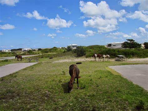 The Roadrunner Chronicles: A Few Days at the Beach - Assateague State Park