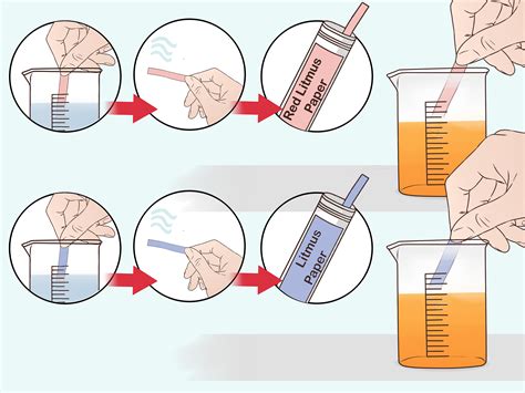 3 Ways to Do a Litmus Test - wikiHow