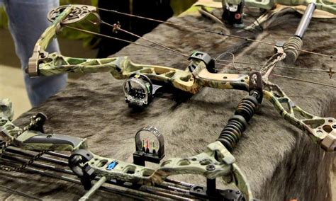 Choosing a Traditional Bow vs a Compound Bow for Survival - What you s ...