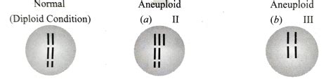 Draw the diagram of different types of aneuploidy.