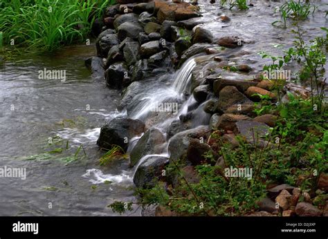 Small water stream, Pirangut, Pune Stock Photo - Alamy