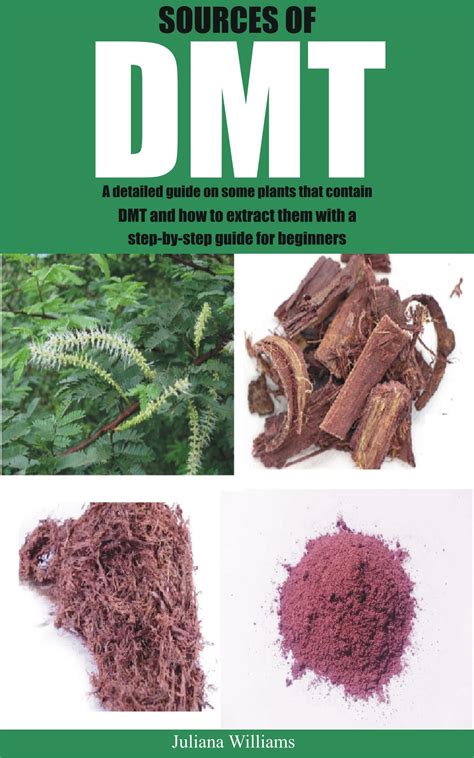 Buy SOURCES OF DMT: A detailed guide on some plants that contain DMT and how to extract them ...