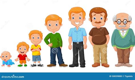 Cartoon Development Stages Of Man Vector Illustration | CartoonDealer.com #50839888