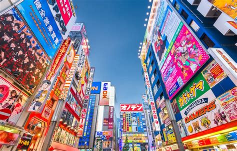 Step Inside One of Akihabara's Weirdest Shops | All About Japan