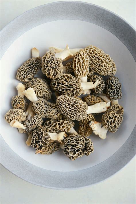 Cleaning And Cooking Morels