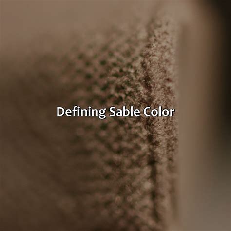 What Is Sable Color - colorscombo.com