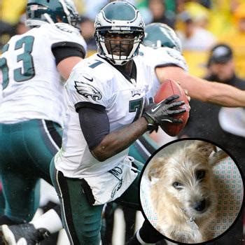 All Forgiven & Forgotten? Michael Vick Is A Dog Owner Again After ...