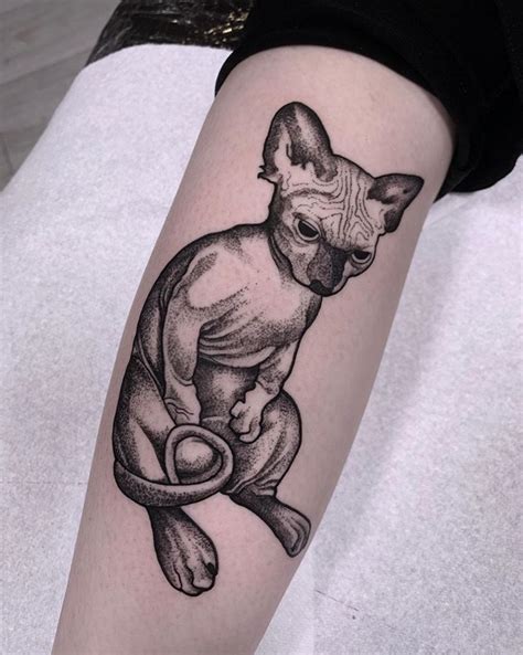 Sphynx cat tattoo | Norbert Halász | Tatuaggi