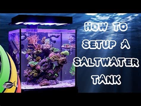 How To Set Up A Saltwater Fish Tank / Aquarium – Site Title