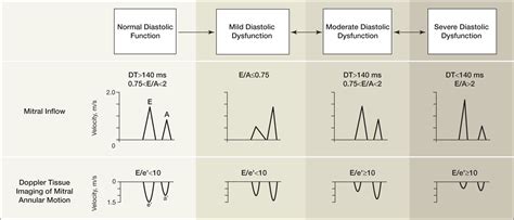 Systolic and Diastolic Heart Failure in the Community | Cardiology | JAMA | The JAMA Network