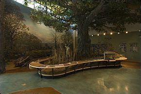 Visit an Arkansas nature center in March | Arkansas.com