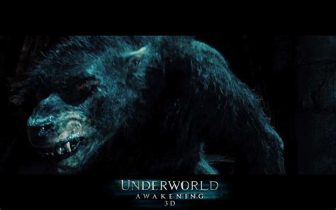 Underworld Werewolf Wallpapers - Wallpaper Cave