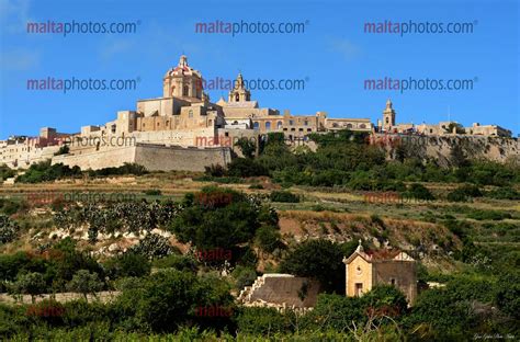 Mdina Cathedral - Malta Photos