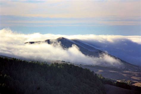 Coastal fog streams in over Black Mountain : Photos, Diagrams & Topos : SummitPost