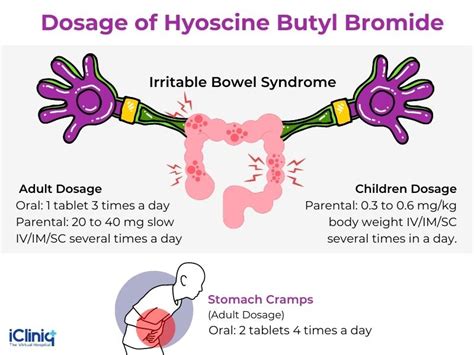 What Is Hyoscine Butyl Bromide?