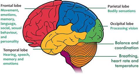 Epilepsy: New Data on Focal Seizures | EpilepsyU