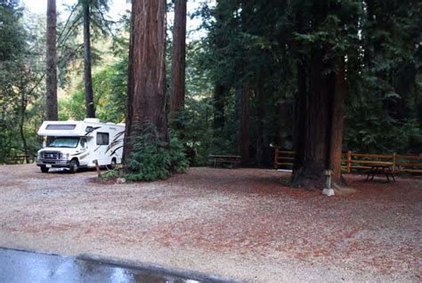 Santa Cruz Redwoods RV Resort - Campsite Photos