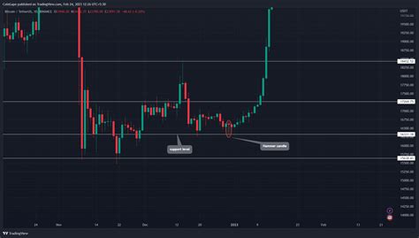 Hammer Candlesticks: How to Use This Indicator To Increase Crypto Profit?