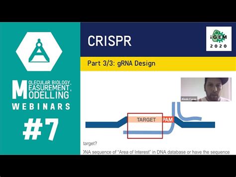 Deepcrispr Optimized CRISPR Guide RNA Design by Deep Learning - reason.town