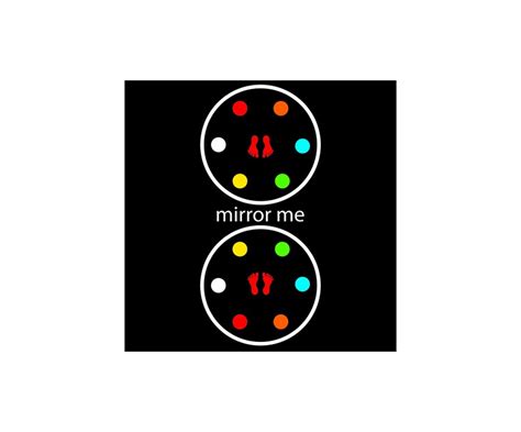 Mirror Me Game - PlayQuest