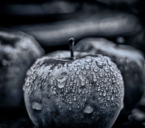 #apple #drip #drop of water #eat #fruit #fruits #garden #harvest #rain ...