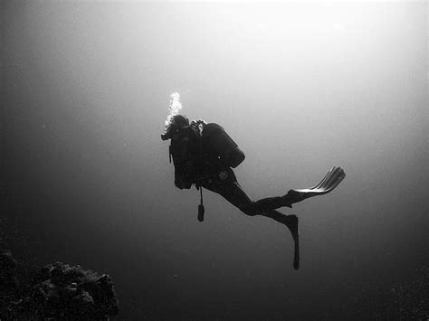 Royalty-Free photo: Person diving underwater grayscale photo | PickPik