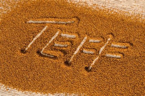 Teff ven y conoce todos sus beneficios y sus propiedades