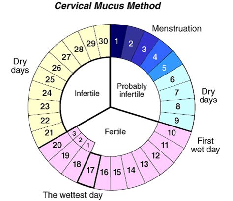 Fertile days calendar - Visellia