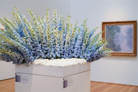 North Carolina Museum of Art - North Carolina Museum of Art